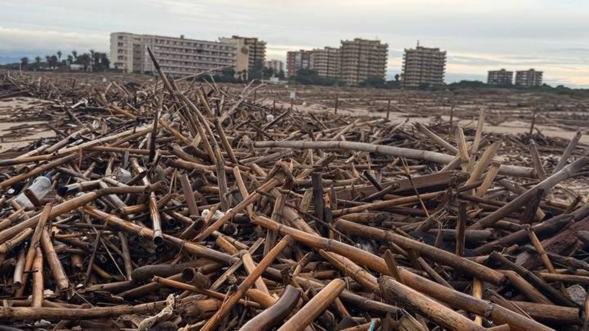 El temporal del fin de semana devora las playas del sur y las deja repletas de cañas y restos de la dana de octubre de 2024