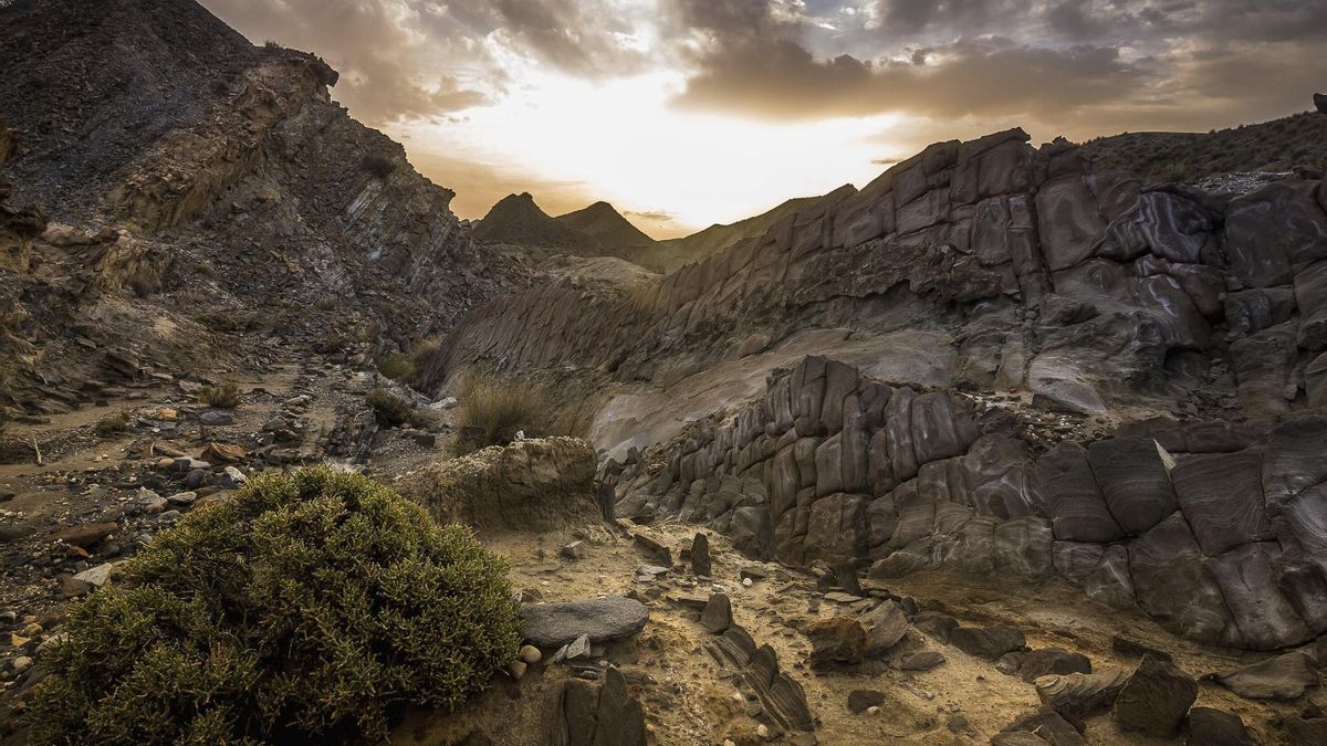 El Coto de las Lomillas recibirá las actividades entre el 30 de septiembre y el 2 de octubre