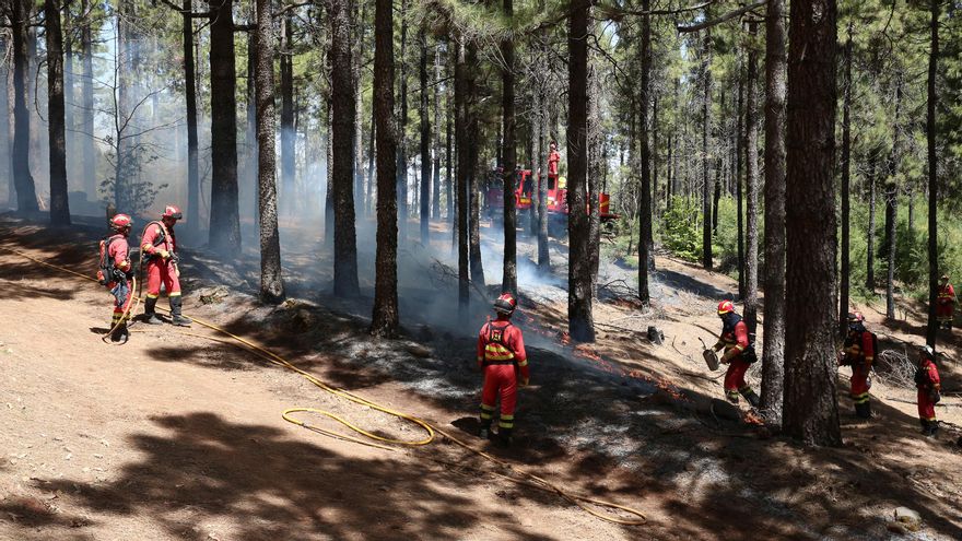 La UME haciendo quemas controladas en las cumbres de Gran Canaria.