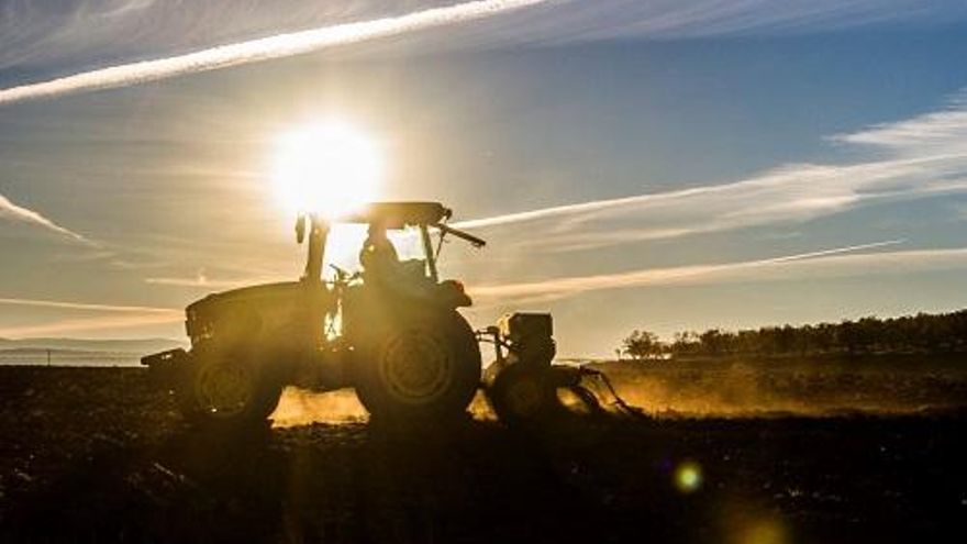 El Ministerio prepara una nueva edición del ‘Erasmus Agrario’ para formación práctica de jóvenes agricultores