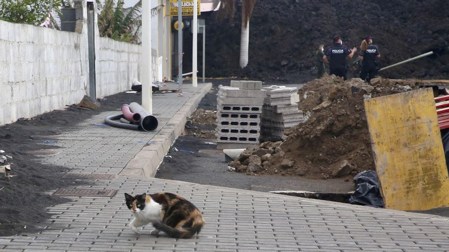 Barrio de La Laguna, en la zona de exclusión. (ALEJANDRO RAMOS)