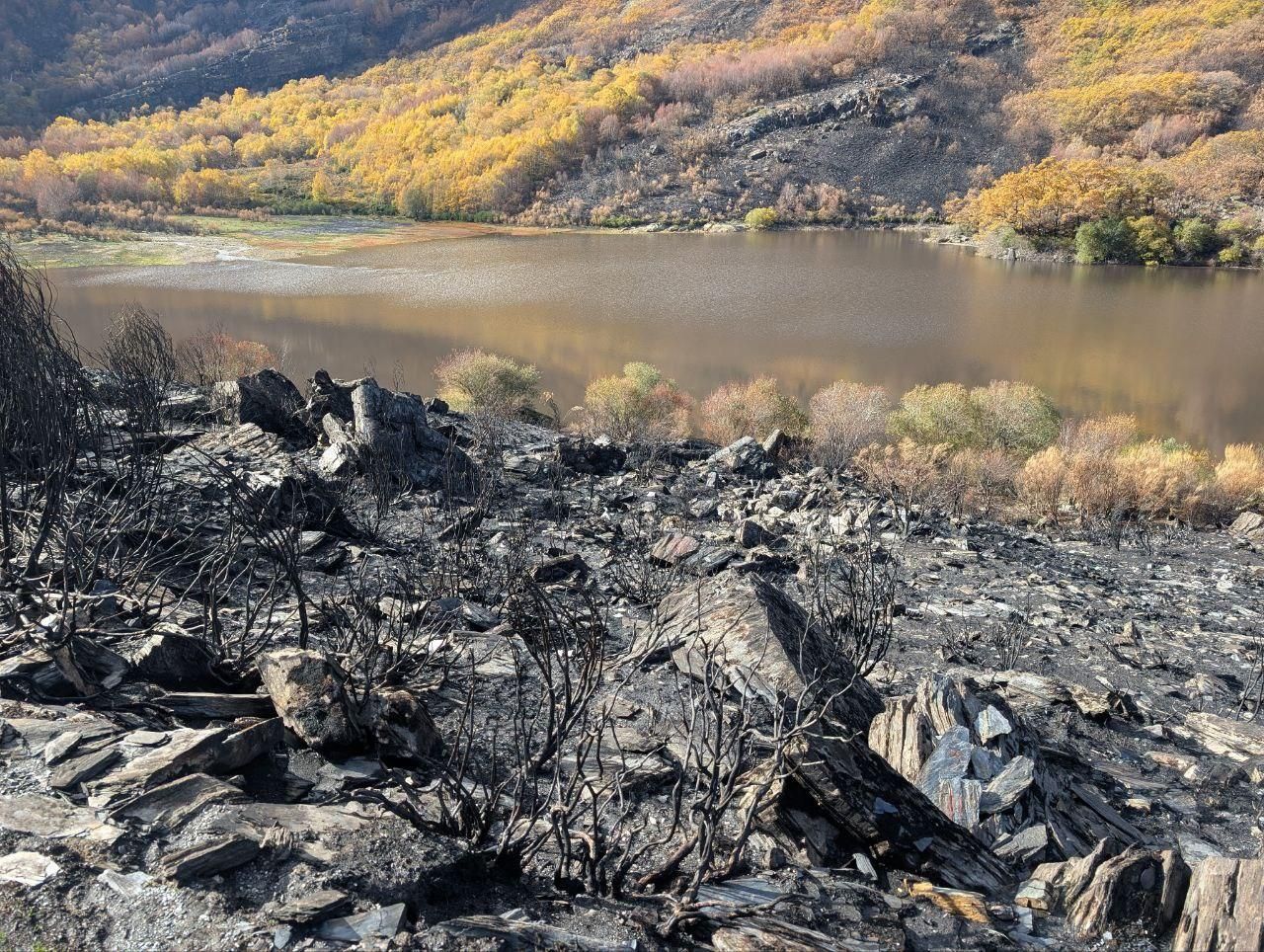 El Lago de la Baña tres meses después de ser arrasado por el fuego