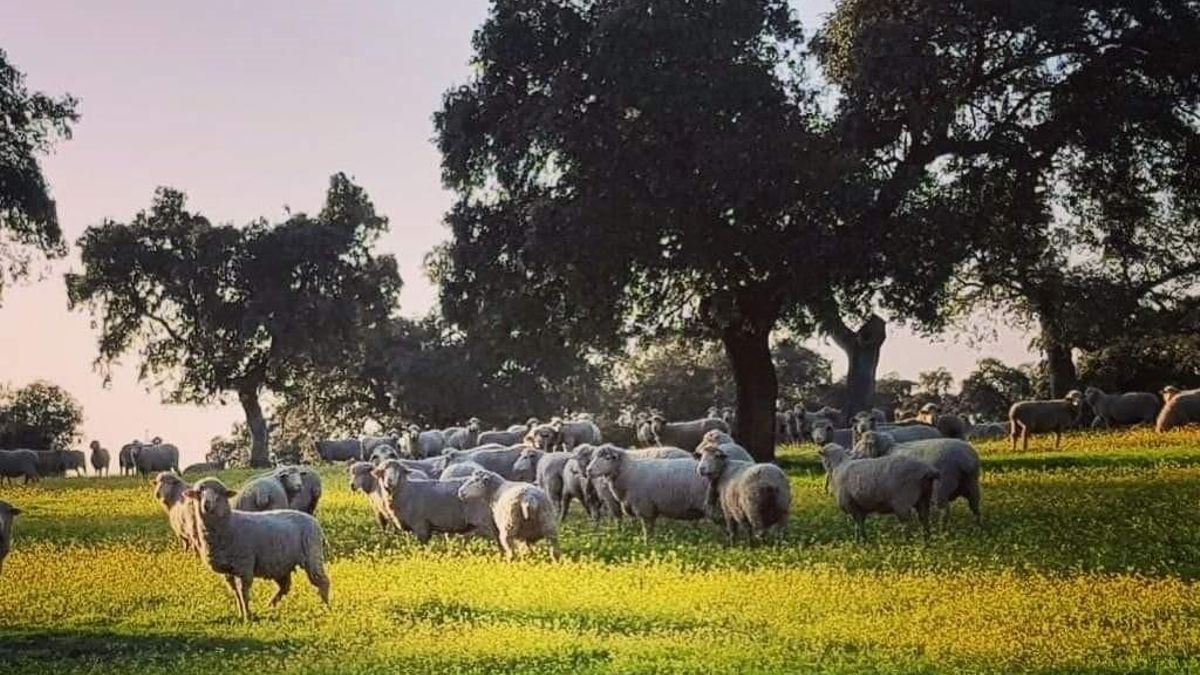 La despoblación rural y el envejecimiento