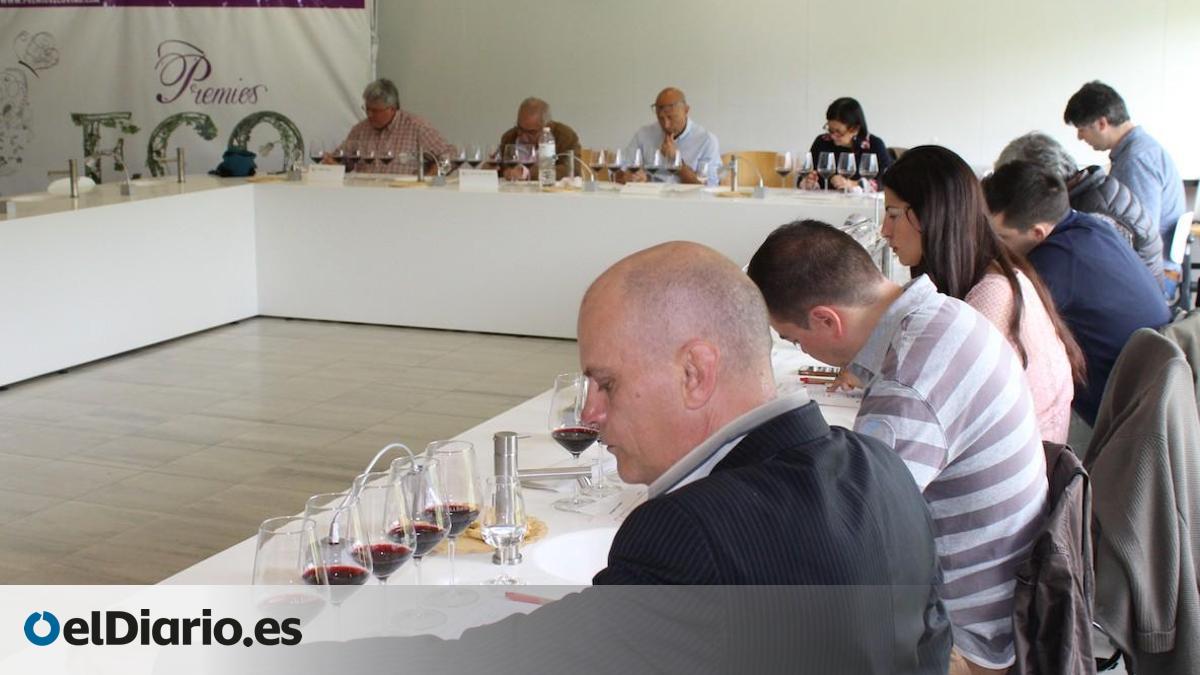 Se busca el mejor vino ecológico, razón la XVI edición de los Premios Ecovino