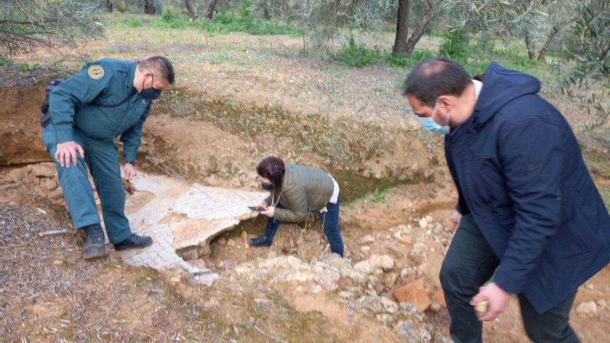 Un agricultor descubre un gran mosaico romano en mitad de un olivar