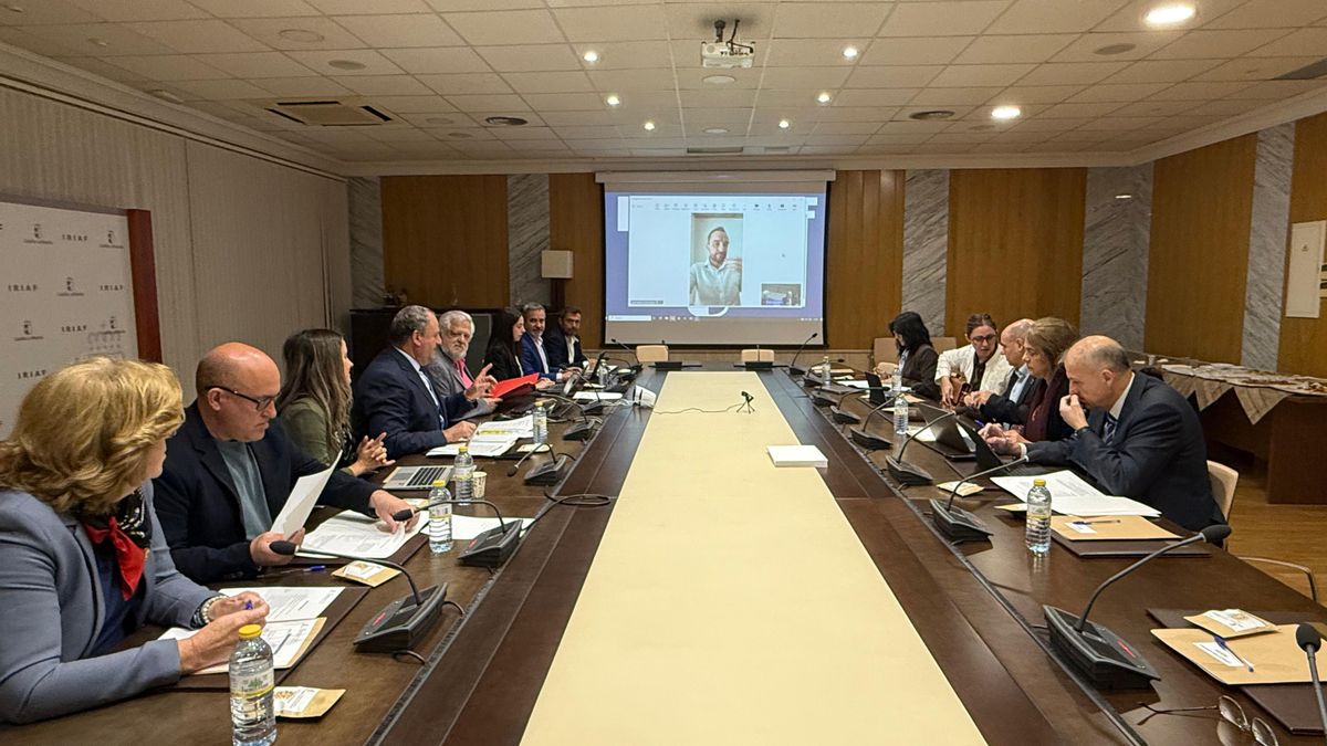 Reunión del Consejo de Dirección del IRIAF