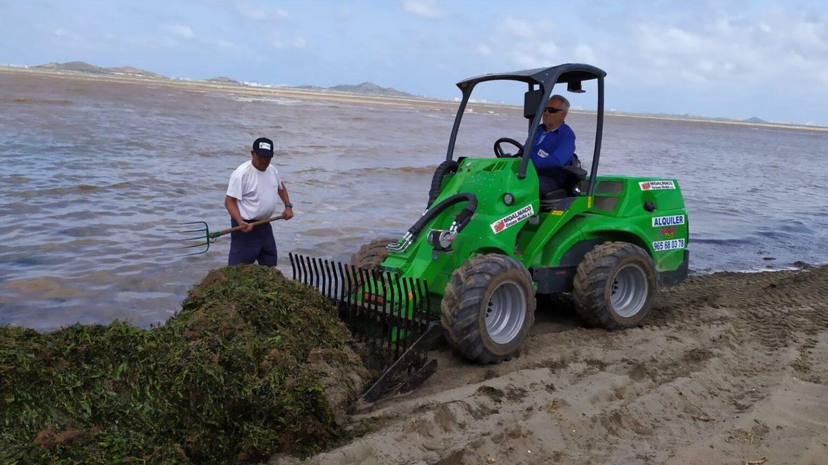 Retirada de biomasa en el Mar Menor