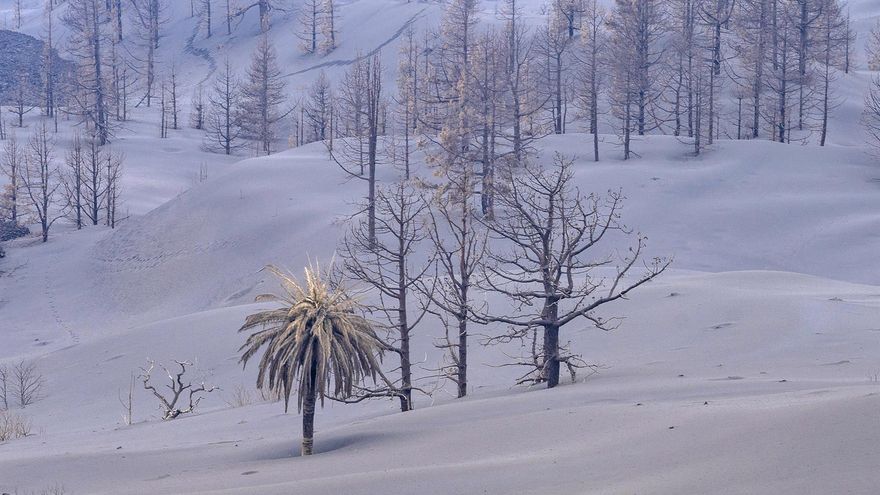 Los científicos avisan: el fin de la erupción en La Palma no significa que no haya "algunos peligros"