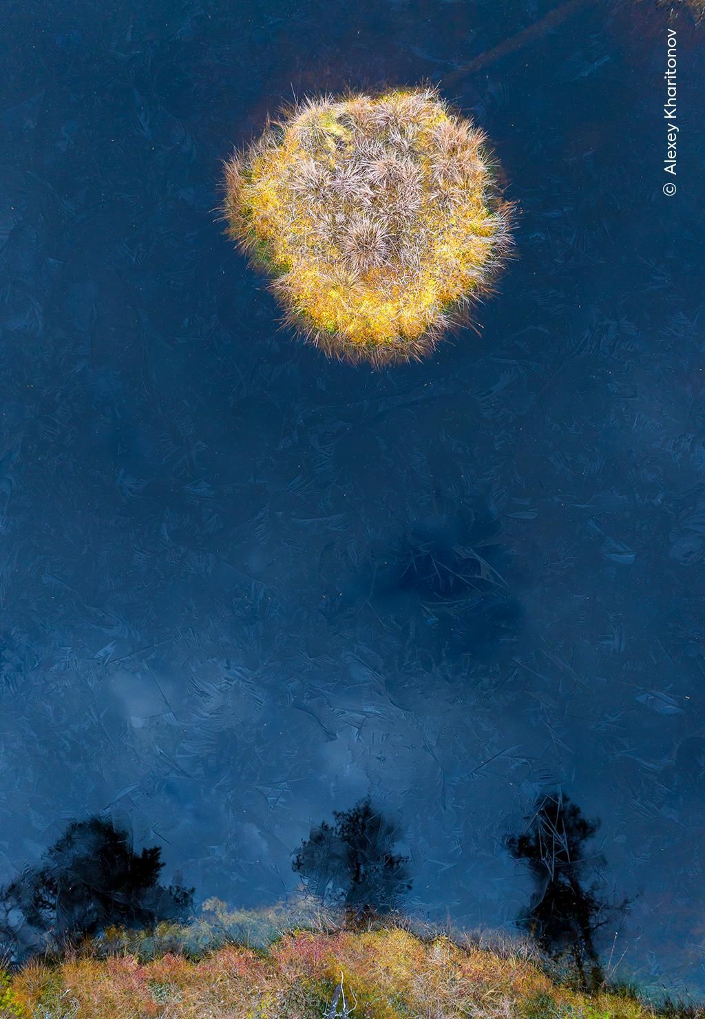 'Luna de taiga' (Visiones del norte), Premio al portfolio