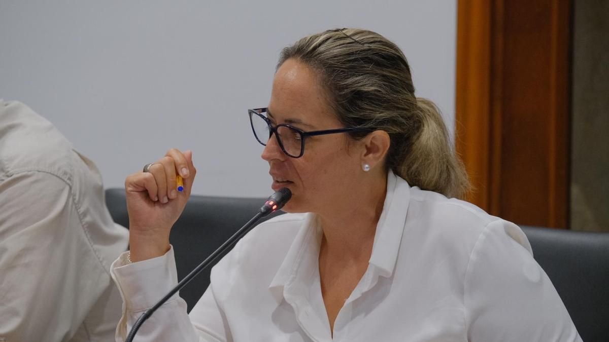 El PSOE critica “el retraso de los fondos” del Cabildo para las residencias de mayores, centros de día y ayuda a domicilio