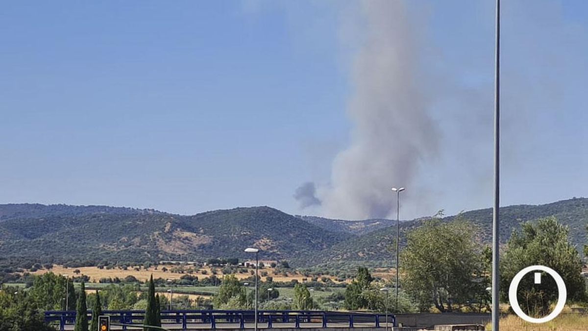 Incendio forestal en Cerro Muriano