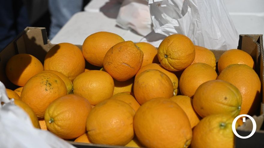 La campaña de la naranja se encuentra al 60% de la recolección con una reducción de producción