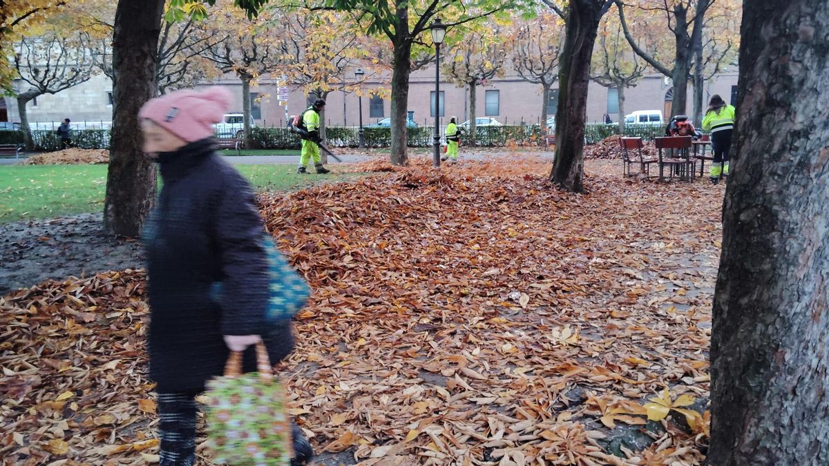 Una señora mayor intentando no caerse con las hojas caídas en el Jardín de San Francisco