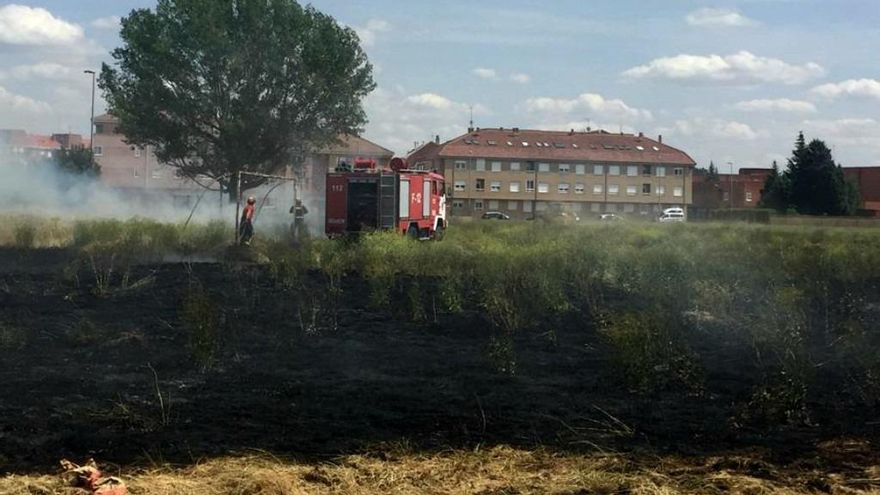 Incendio forestal en los terrenos de la Facultad de Agrícolas.