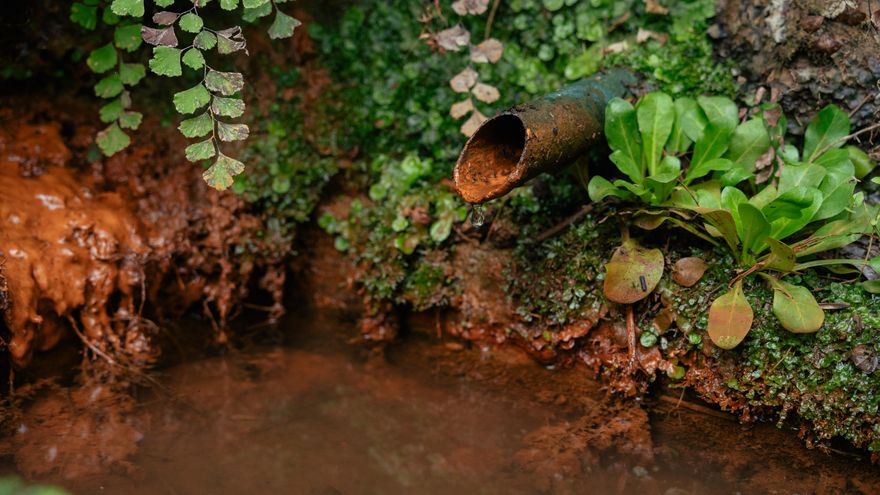 La falta de agua en las fuentes naturales de Catalunya lanza una advertencia para el litoral mediterráneo