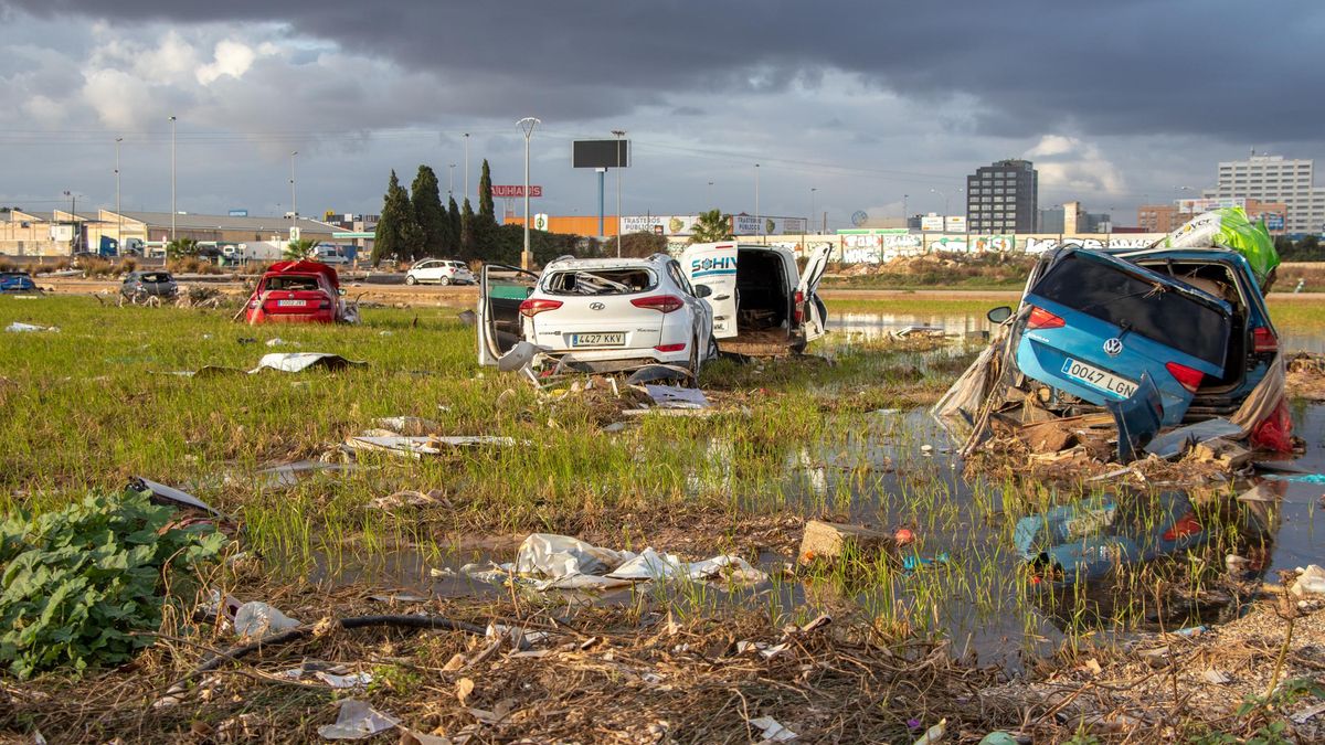 Coches arrastrados por la riada en l'Albufera.