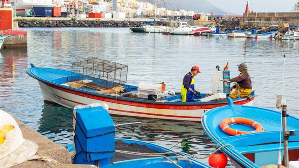 Puerto pesquero de Santa Cruz de La Palma.