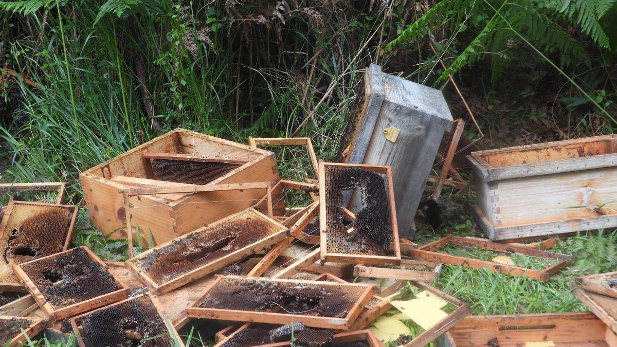 Los miembros del FAPAS recomiendan cierres de protección para evitar daños en las colmenas.