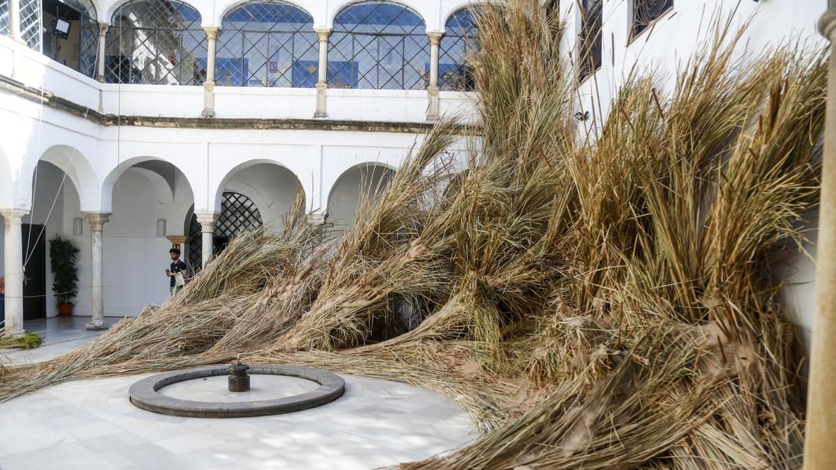 FLORA 2026 - Mas Rasa (Palacio de Orive)