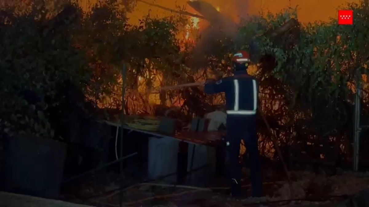 España pide ayuda a la UE y moviliza a 1000 militares y efectivos de otras comunidades para atajar los incendios de Madrid y Ávila