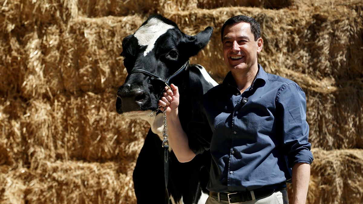 Una vaca blanca y un gato negro animan la ya tradicional visita de Moreno a su ganadería "talismán"