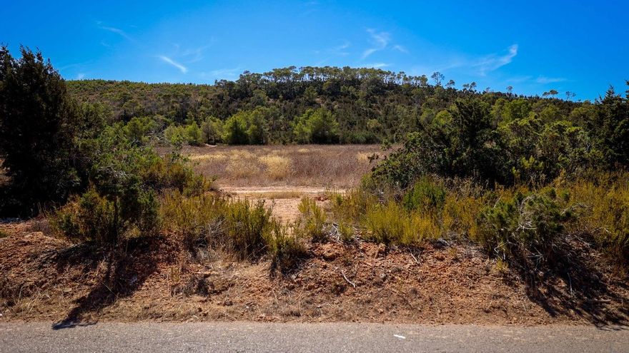 Hoteles y parkings en una zona inundable, la apuesta urbanística del PP en Ibiza que ignora los desbordamientos del pasado