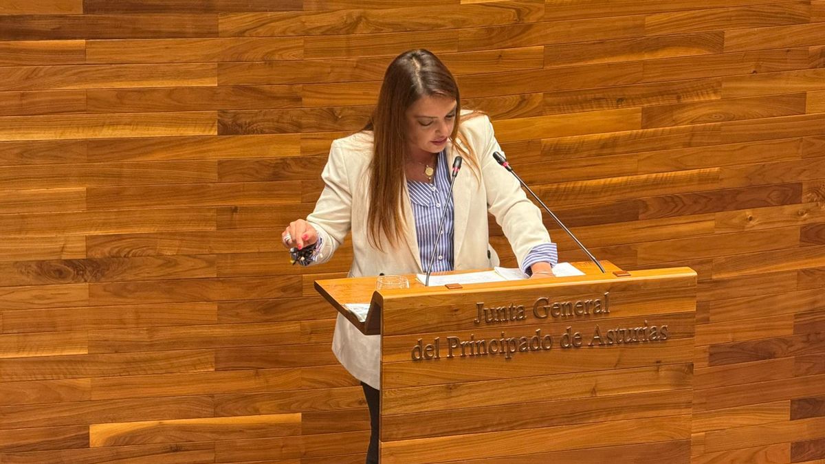 Carolina López, en la Junta General.