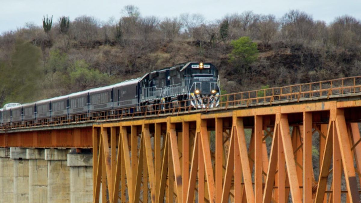 Un tren del Grupo México.