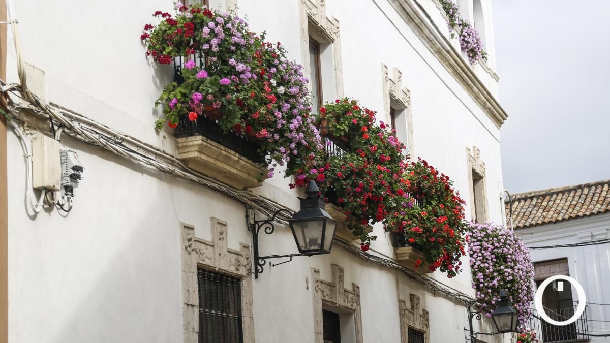 Rejas y Balcones en la C/ Fernán Pérez de Oliva, 2