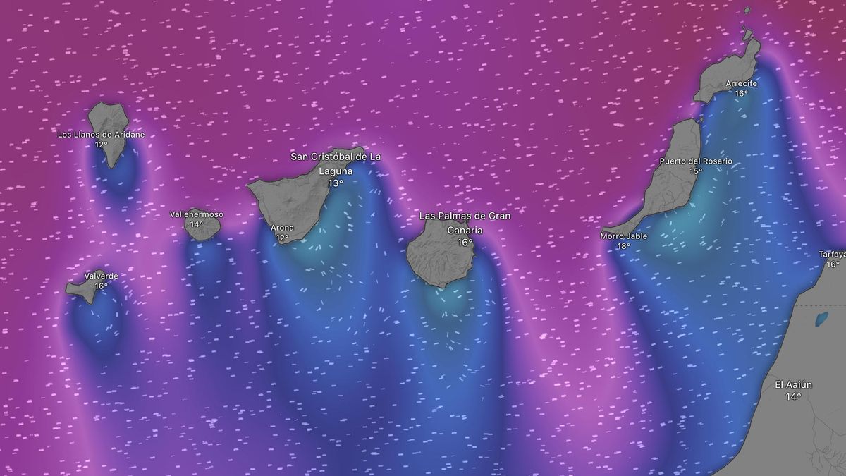 Oleaje previsto para este sábado en Canarias. Los colores cálidos indican olas de mayor tamaño.