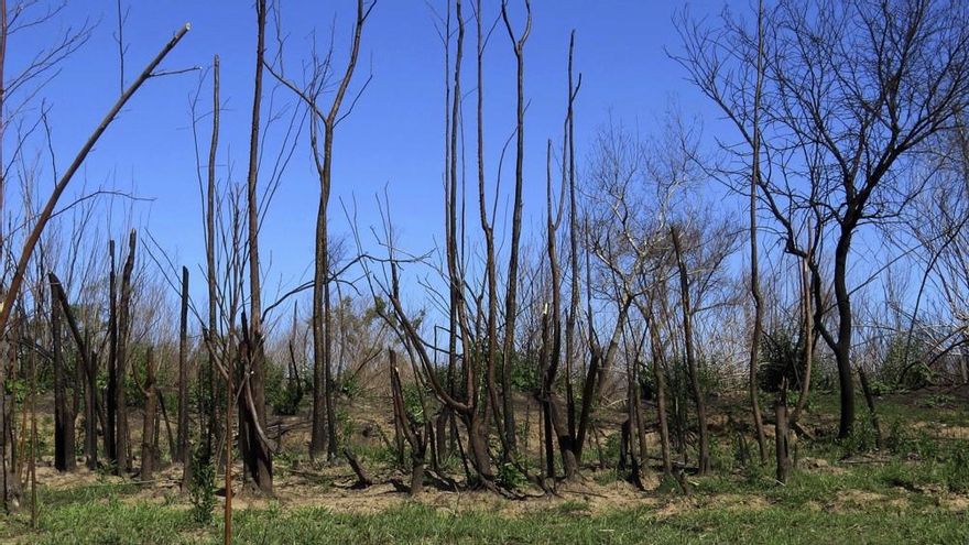 La ONU pidió una ley para la conservación de los humedales en Argentina