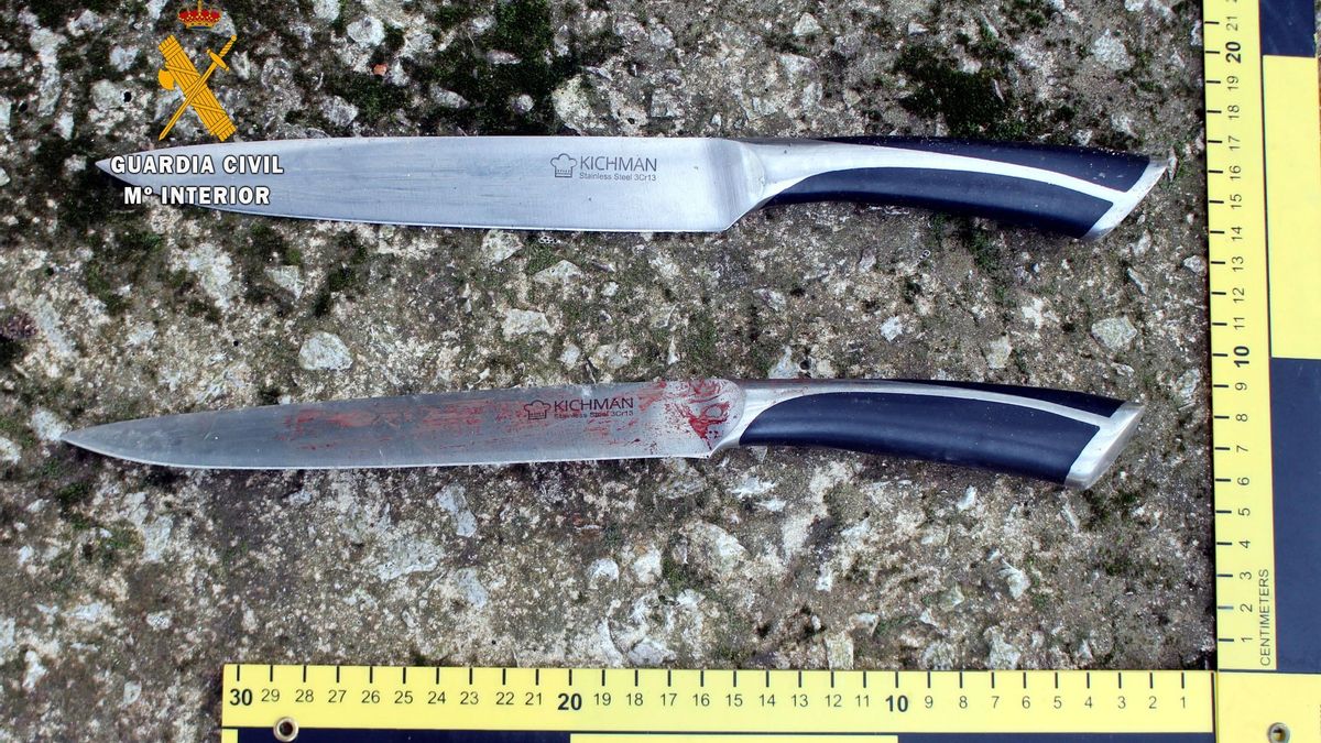 Cuchillos utilizados en el apuñalamiento de Hoznayo