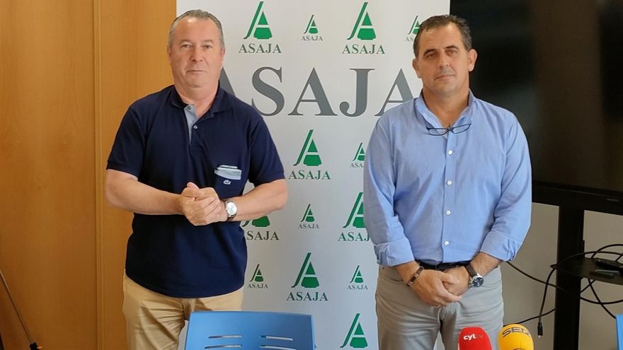 Asaja estima unas pérdidas del 36% en la cosecha de cereal en Castilla y León