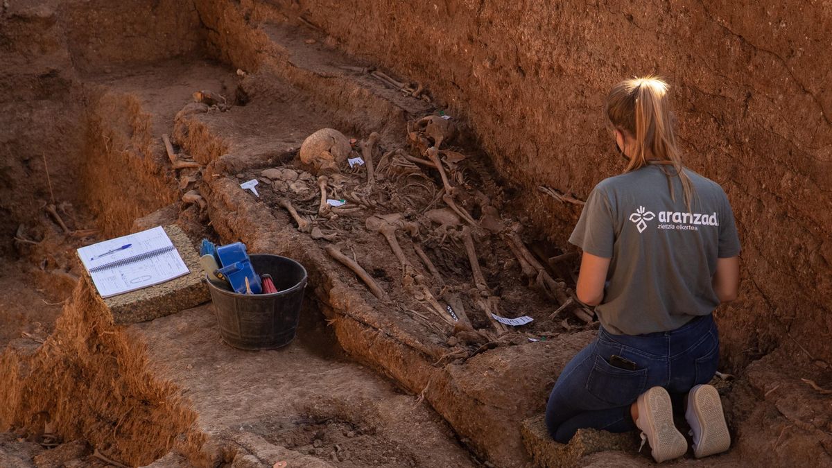 Trabajos de exhumación de la fosa común de Pico Reja en el cementerio de San Fernando de Sevilla en 2020.