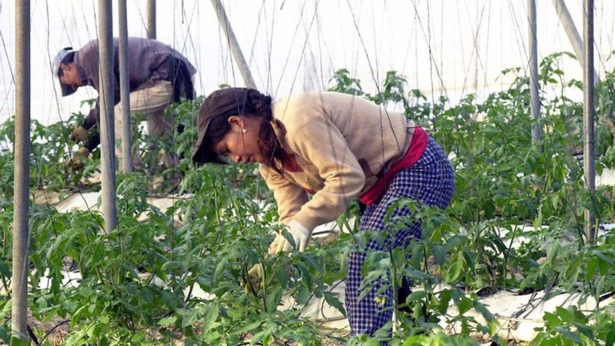 El mercado laboral mejora en Extremadura: 13.400 trabajadores más pero con la segunda tasa de paro más alta de España