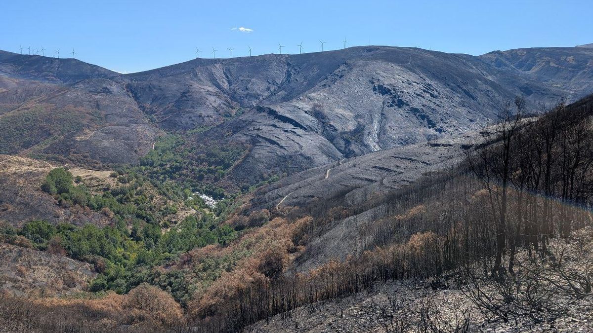 La Universidad de León organiza un concurso de fotografías de los incendios para preservar la memoria visual del desastre