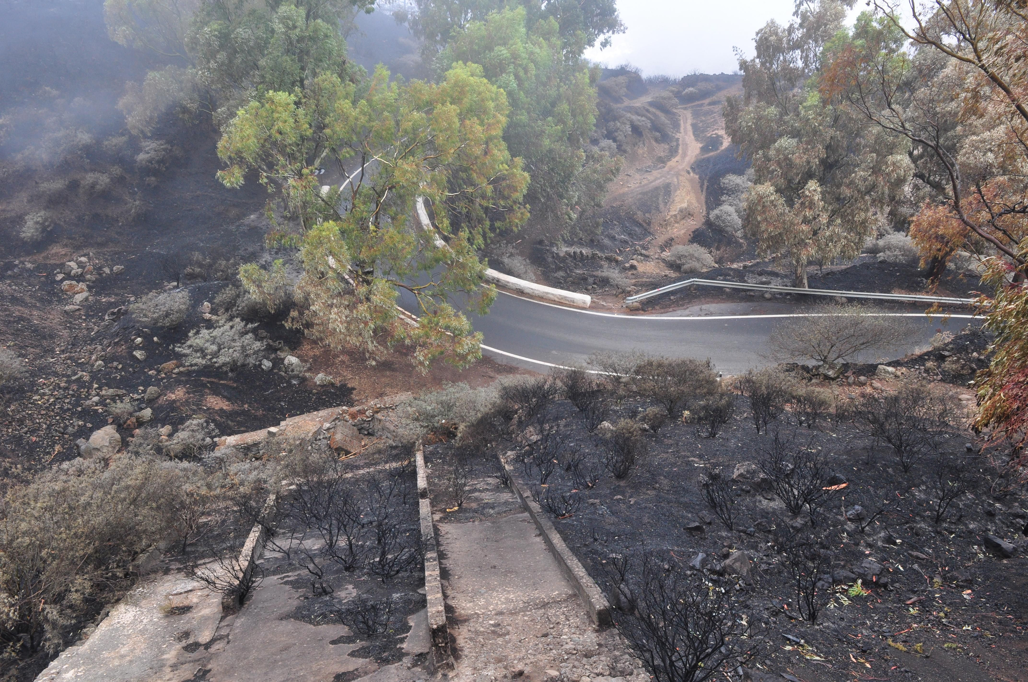 Efectos del incendio en la Cruz de Tejeda. (ÁNGEL SARMIENTO)