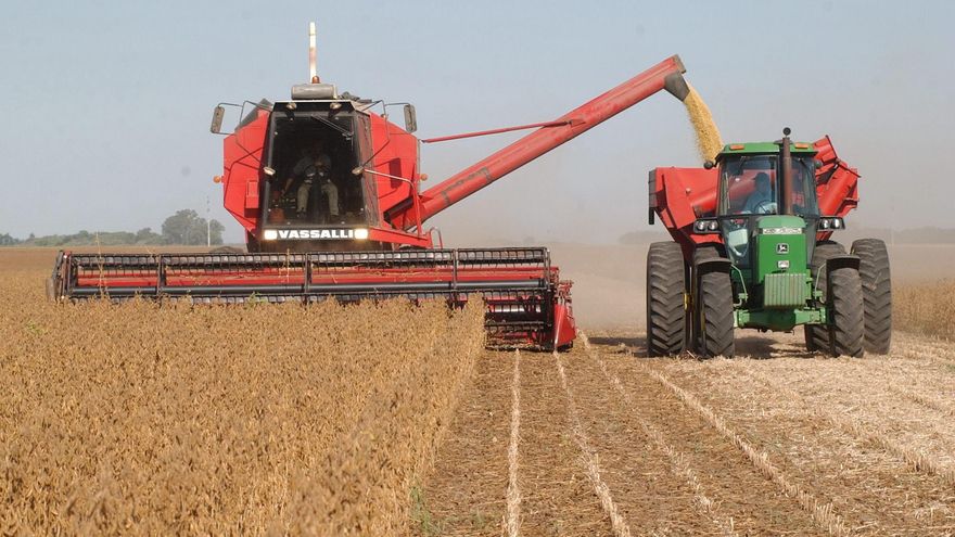 La exportación de soja en Paraguay cae en 1,3 millones de toneladas en el primer semestre de 2025