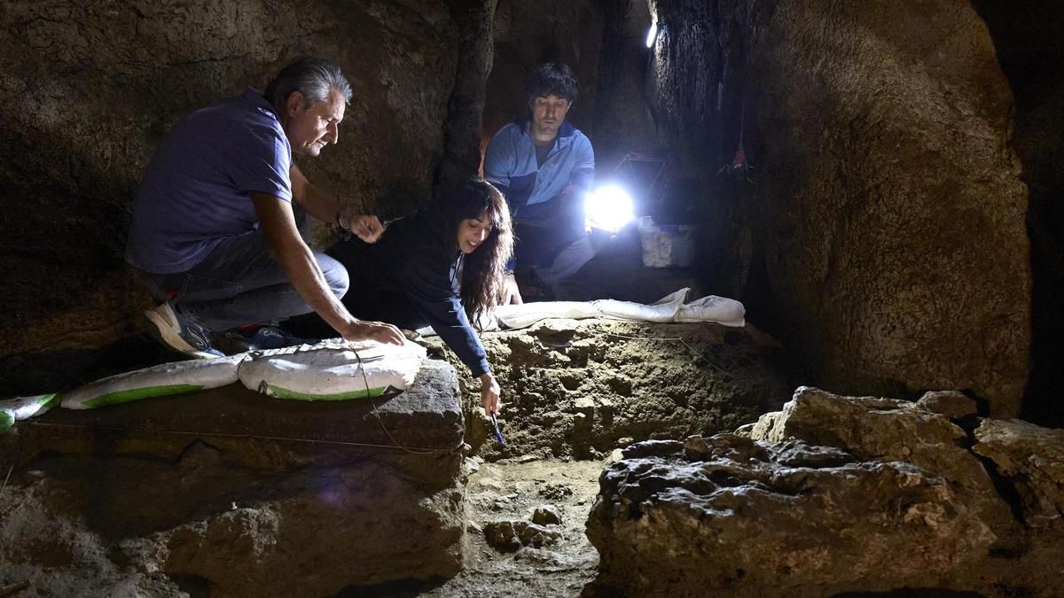 Tres metacarpos y una falange de neandertal: descubiertos los restos humanos más antiguos de Navarra