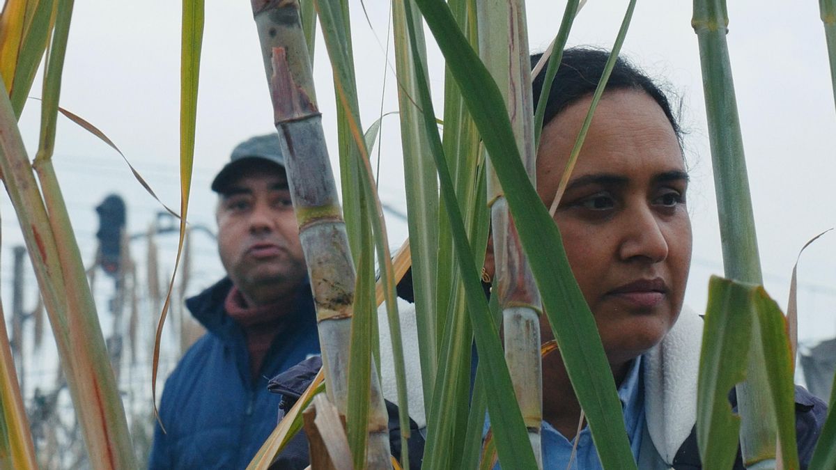 Ocho películas competirán en el XX Festival de Cine Inédito de Mérida, que premiará a Nacho Vigalondo