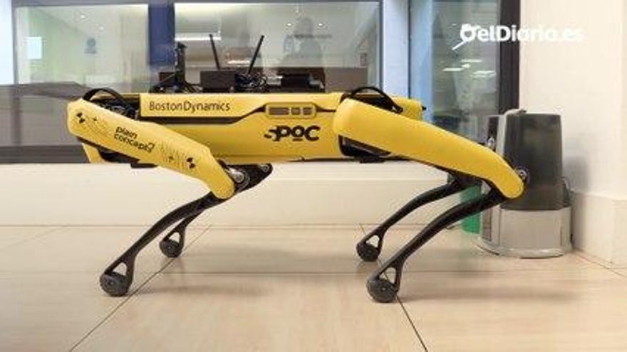 El perro robot viral llega a España, cuesta 63.700 euros... y no es lo que parece