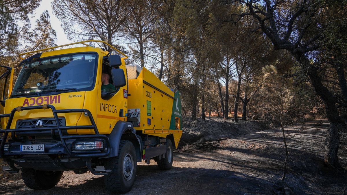 CCOO demanda a las administraciones "un mayor esfuerzo inversor" en prevención de incendios forestales