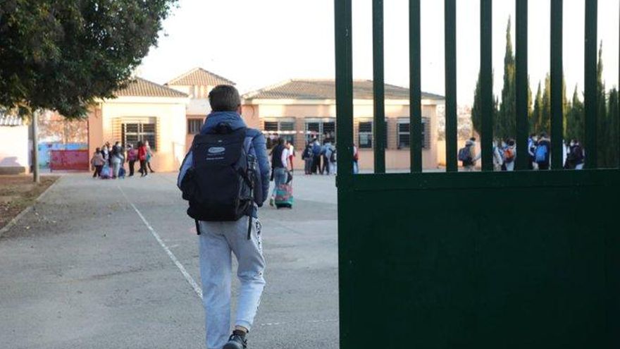 La educación pública con el Pacto del Botánico: un 75% más de ayudas para el comedor y un 22% más de profesores que con el PP