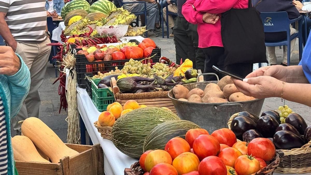 Malagón, ‘El vergel de la Mancha’, recupera su huerta tradicional con el concurso de frutas y hortalizas