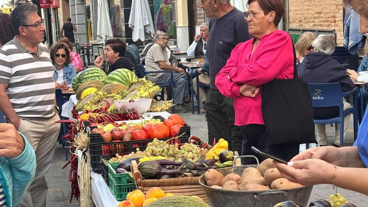 Malagón, ‘El vergel de la Mancha’, recupera su huerta tradicional con el concurso de frutas y hortalizas