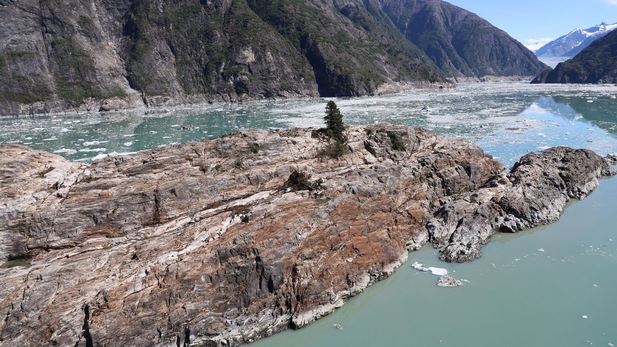 Fotografía aérea oblicua de la isla Sawyer, prácticamente desprovista de vegetación salvo un par de árboles, tras el tsunami.