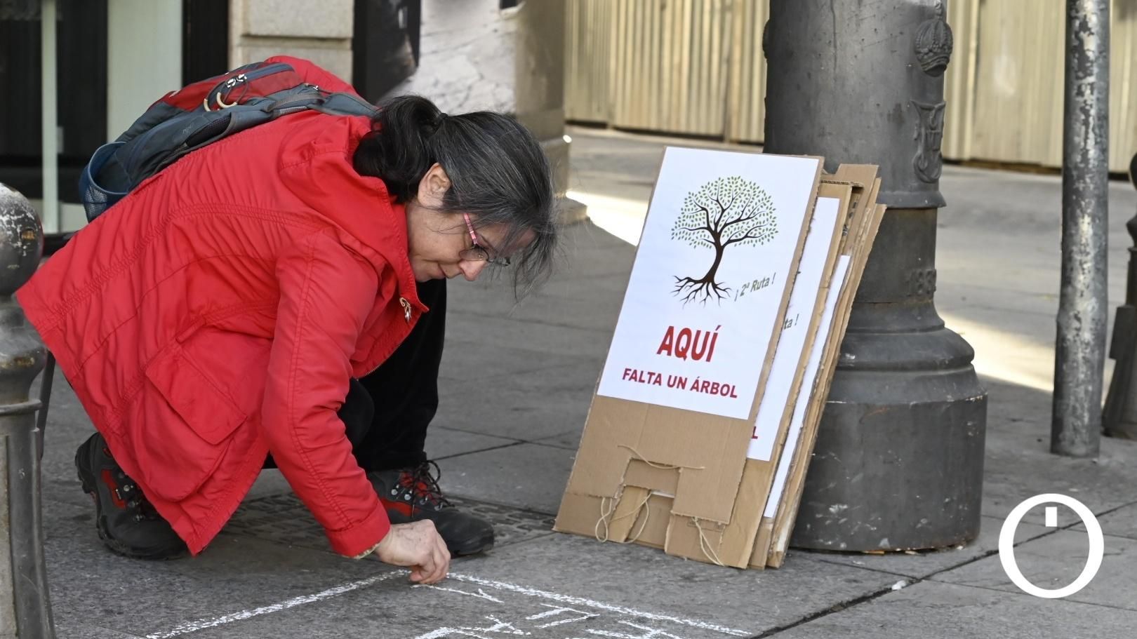 Ruta de aquí falta un árbol