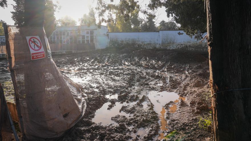 La gran fosa de represaliados de Córdoba se cierra con excavaciones aún pendientes