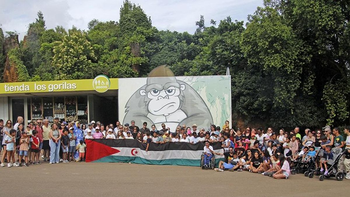 Un total de 68 niños saharauis llegan a Cantabria la próxima semana con el programa Vacaciones en Paz