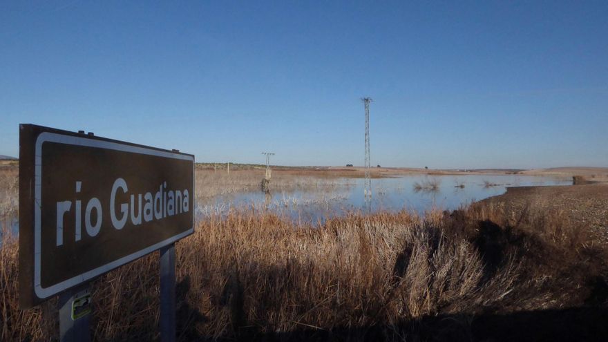 El Gobierno declara acuíferos Campo de Cartagena, Doñana y Daimiel en riesgo